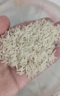 برنج فجر سوزنی درجه ۱