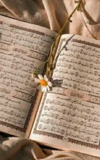 کتاب فال حافظ 100