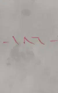سیم کارت