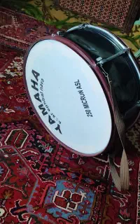 طبل‌ بیس‌دار
