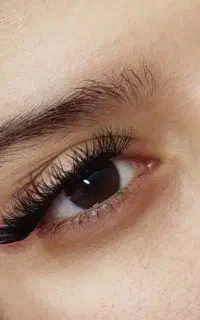 یادگیری اموزش مژه موقت