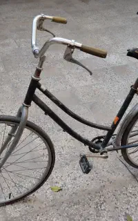 دوچرخه گناوه