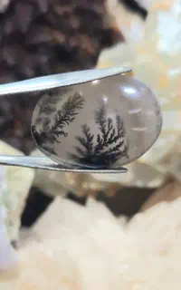 نگین عقیق شجر قائن