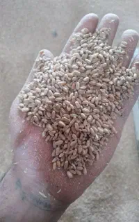 نیازبه یک شریک کاری جهت سرمایه گذاری