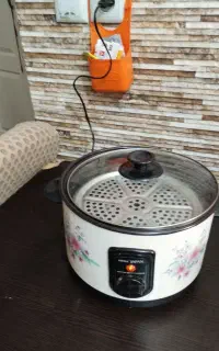 بخارپز برقی خارجی