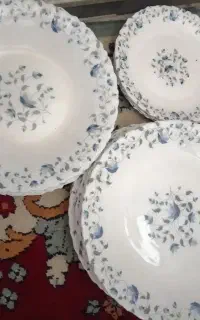 دو دست آرکوپال