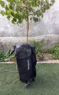 پارک کودک