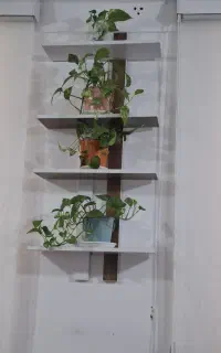 تعدادی شلف ام دی اف در حد نو