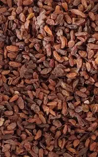 کشمش آفتابی پارسالی گوشت دار