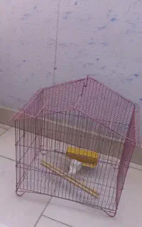 قفس پرنده