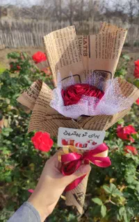 گل تک شاخه رز جاودان