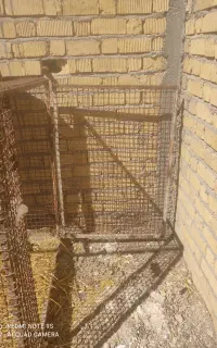 قفس