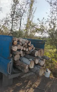 خریدار انواع چوب