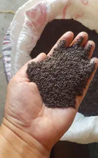 کنجد سیاه(بزرک)