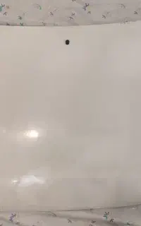 کاپوت ودرب سمت راننده پرایدرنگ سفید