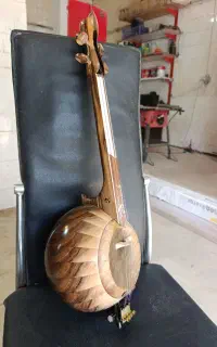 کمانچه حرفه ای پردیور