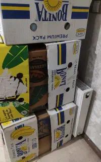 کارتن موز