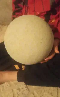 توپ بفرش میرسد