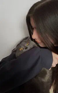 کار در خانه ـ با موبایل