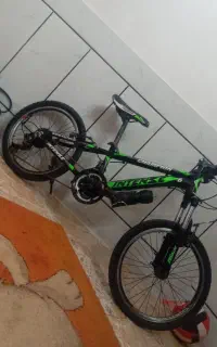دوچرخه اینتنز