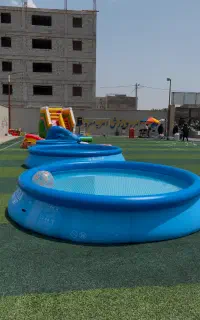 فستیوال آب و کف ارغوانی