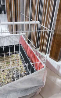 قفس پرنده
