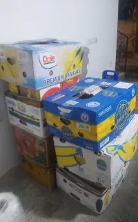 کارتن موزی و صندلی پلاستیکی