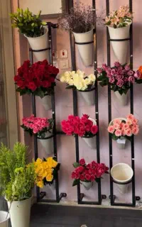 دعوت به همکاری با گل‌آرای ماهر و باتجربه