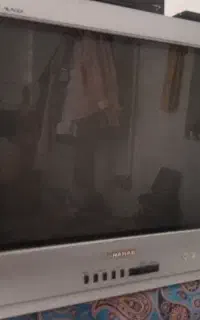 تلویزیون