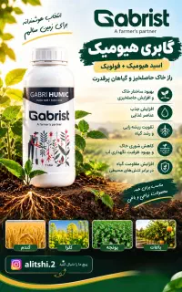 راهکار تغذیه و اصلاح خاک برای مزارع و باغات