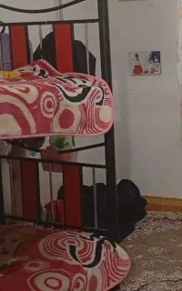 تخت دو طبقه در حد نو