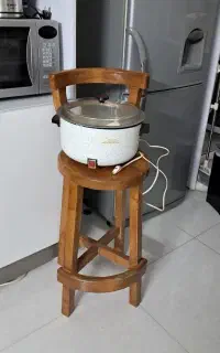 یک عدد دیگ آرام پز برقی