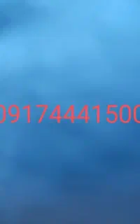 شماره تلفن