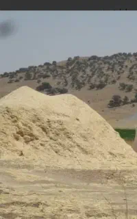 فروش کاه امسال به قیمت مناسب درب انبار