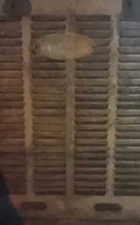 کولر ابی ۳۵۰۰سالم