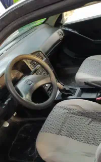 پژو آردی