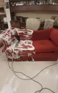 مبل شویی،مبلشویی کیان