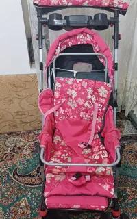 کالسکه و دوچرخه و کریر