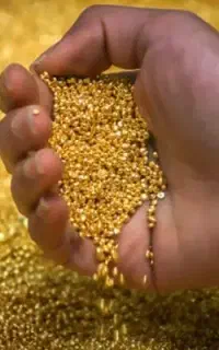100سوت طلایی رایگان توچال
