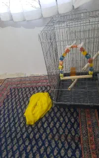 قفس بزرگ نو با لوازم