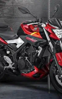 mt25
