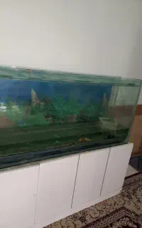 فروش آکواریوم بزرگ