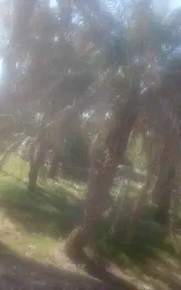 باسلام خوشه بری کار اساس منزل تخریه دیوار