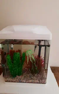 فروش آکواریوم آکوا