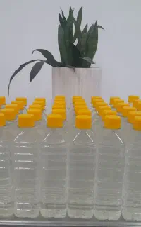 عرق نعناع خالص