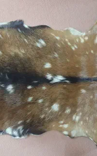 فرش پوست بز دباغی شده