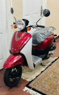 پاکشتی هندا تودی f درحد خشک 00