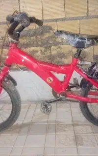 دوچرخه
