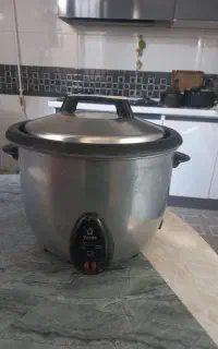 پلو پز ده نفره پویا
