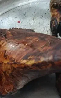 کله پاچه سیخ داغ شده